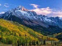 Randomly Generated Post