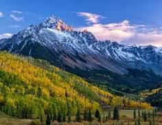 Randomly Generated Post